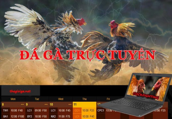 VN138 - Chơi game cực ngầu, dẫn đầu thế giới cá cược